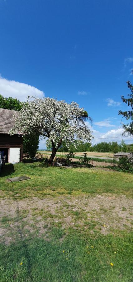 Mazurska Przystan Villa Dąbrówno Exterior foto