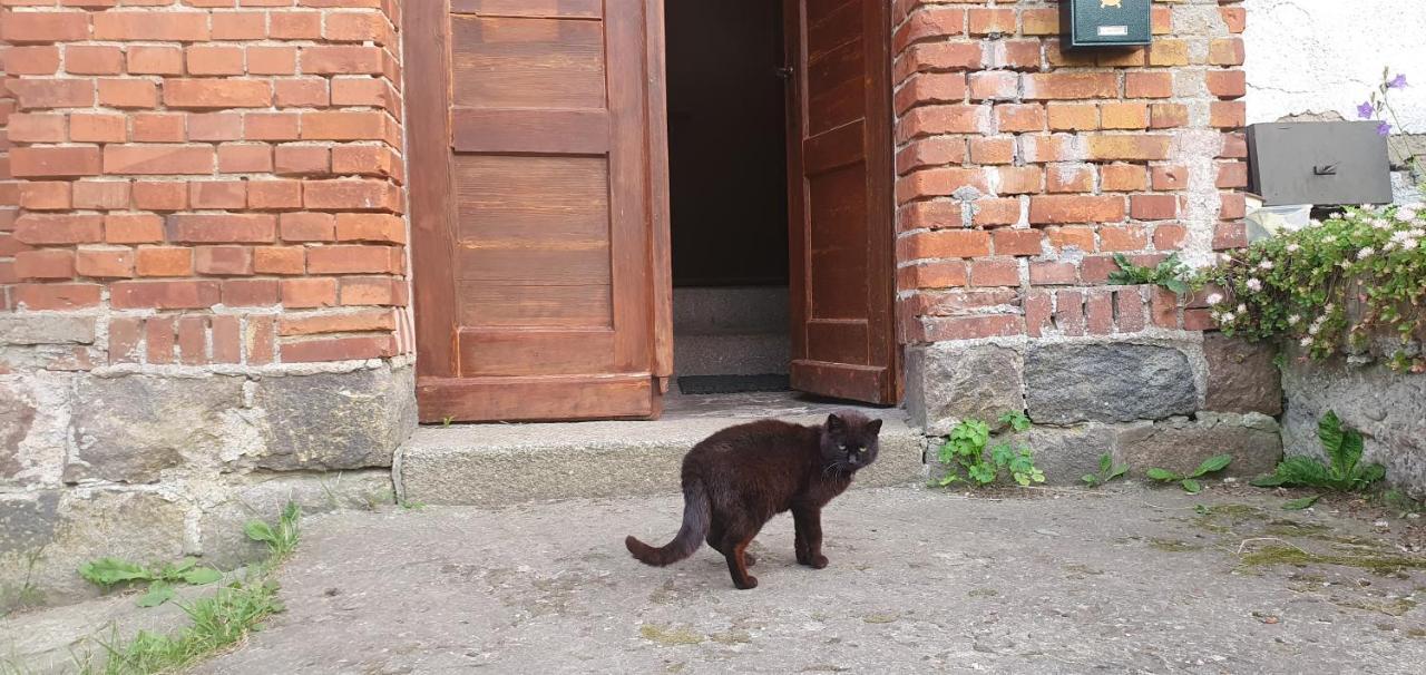 Mazurska Przystan Villa Dąbrówno Exterior foto